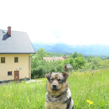 Pensionat Wynajem Pokoi Zofia Gal *